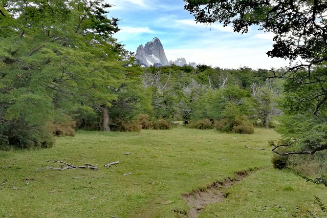 El Chalten: Full Day Trekking to Loma del Pliegue Tumbado - Final Thoughts: Who Should Consider This Tour?