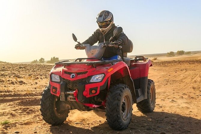 Quad Safari from Side - Final Thoughts