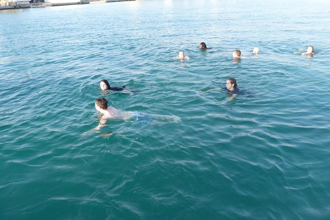 Dolphin Islands Boat Trip Lunch and Soft Drink Included From Side - What to Expect from the Dolphin Islands Boat Trip