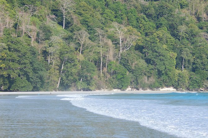 Havelock Island Day Trip from Port Blair - Who Should Consider This Tour?