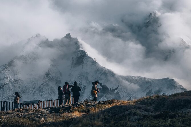 Private Pumas and Wildlife Watching Experience - Final Thoughts: Is It Worth It?