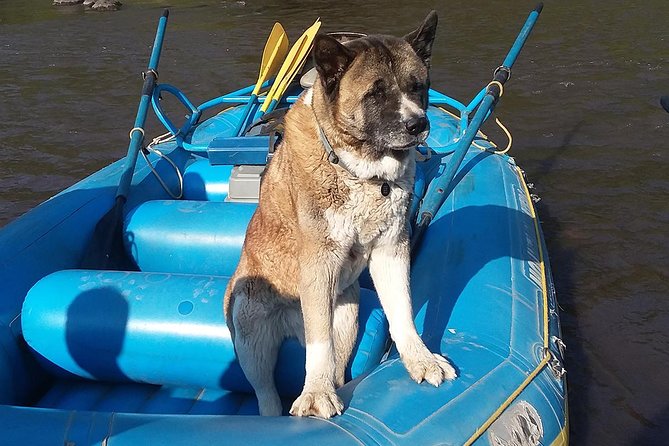 Zip Line - Rafting Package - FAQ