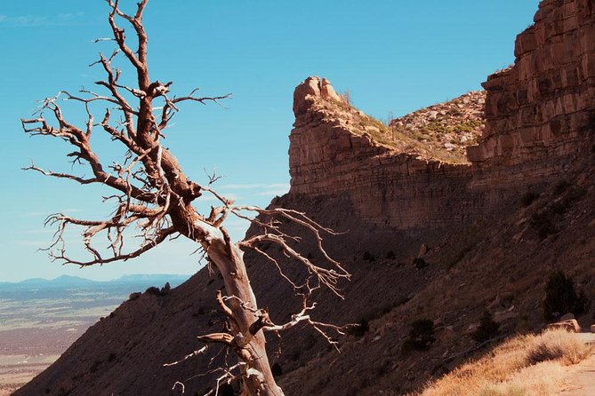 Mesa Verde Highlights Tour - Key Points