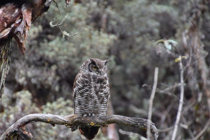 Excursion to the National Park "El Cajas" - Exploring the Highlights of El Cajas National Park
