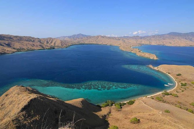 Exclusive Early Bird Komodo Tour: Beat the Crowds by Speed Boat - What Travelers Love About This Tour