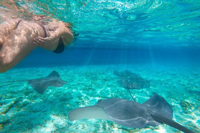 Shared Trip Sailing Komodo 3D2N - The Sum Up