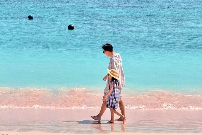 Daily Open Trip Komodo by Speedboat - What’s Included and What’s Not