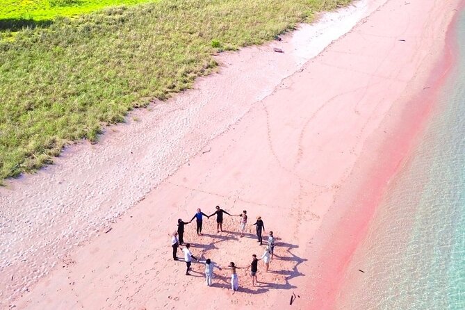 Daily Open Trip Komodo by Speedboat - What This Tour Offers