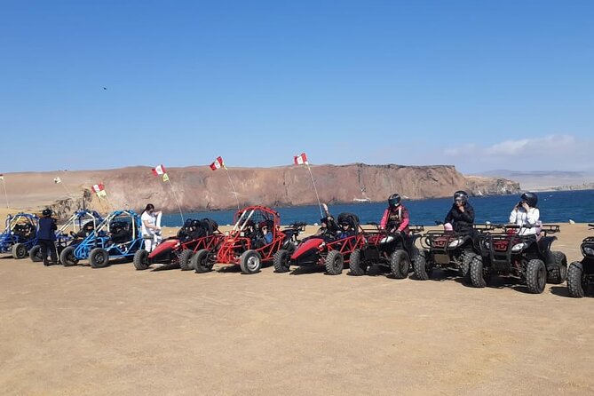 Excursion in Minibuggys in Paracas National Reserve - Key Points