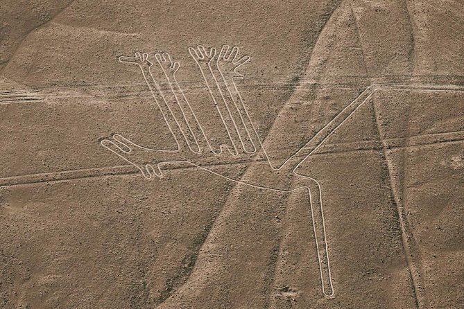Paracas Shore Excursion: Nazca Lines Tour - FAQs