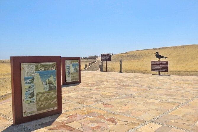 Adventure in the Paracas National Reserve in private - Transportation and Practicalities