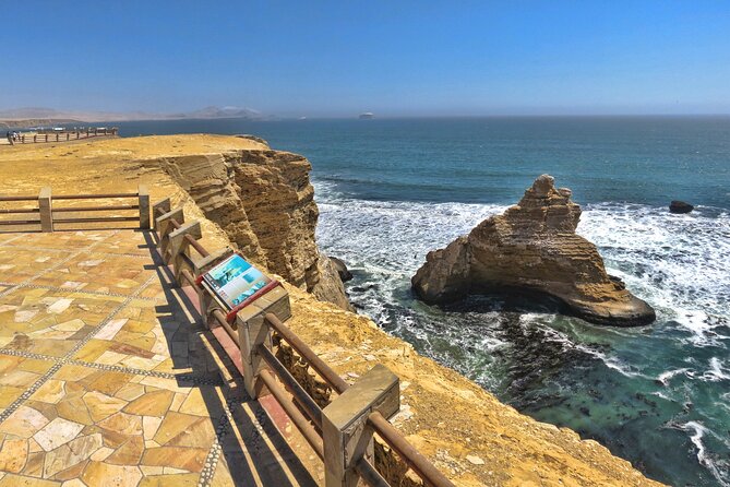 Adventure in the Paracas National Reserve in private - Value and Who Would Love This Tour