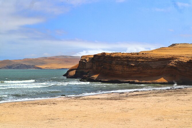 Adventure in the Paracas National Reserve in private - What Makes This Tour Stand Out?