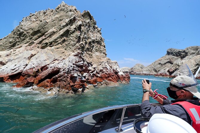 Morning: Ballestas Island tour from Paracas with entrances - Frequently Asked Questions