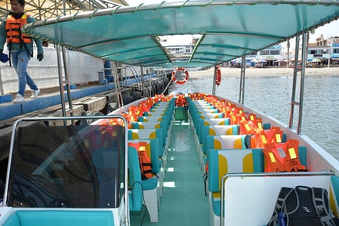 Ballestas Islands Excursion from Paracas - FAQs