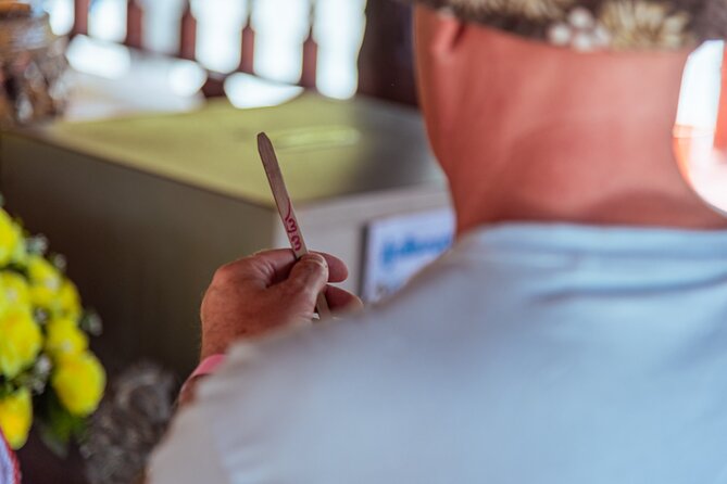 Khao Lak Highlights with Temple Turtles and Elephants Tours - Authentic Experiences and Honest Insights from Reviewers