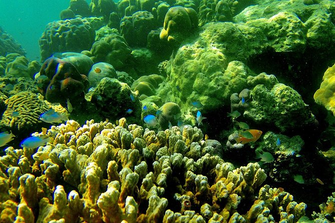 Private Surin Islands Longtail Boat Tour - Final Word