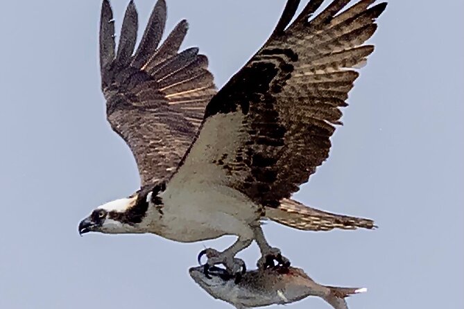 2 Hour Guided Kayak Tour in Cold Spring Harbor NY - Final Thoughts