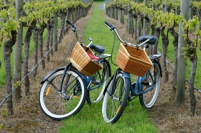 Mattituck New York Guided Farm and Wine Country Bike Tour - The Value of the Tour