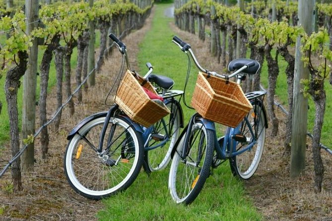 Mattituck New York Guided Farm and Wine Country Bike Tour - Key Points
