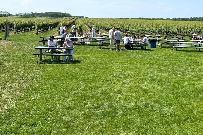 Private Luxury Wine Tours of Long Island Pindar Winery - Deep Dive: Why This Tour Offers Great Value