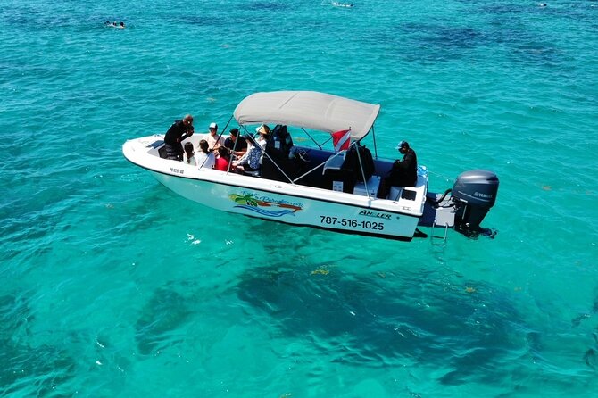 All-Inclusive Private Charter to Icacos or Palomino Islands - Authentic Reviews: What Travelers Say