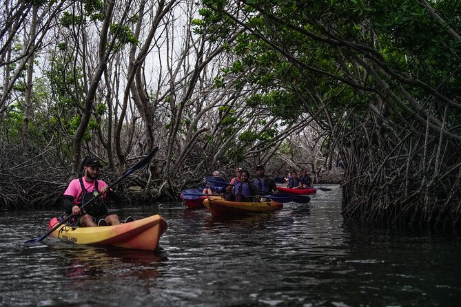 Puerto Rico Sunset Magic: Bio Bay Kayaking Tour from Fajardo - Final Thoughts