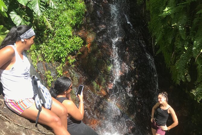 El Yunque Hike Adventure to Las Tinajas Waterfall from Fajardo - In-Depth Look at the El Yunque Hike Adventure