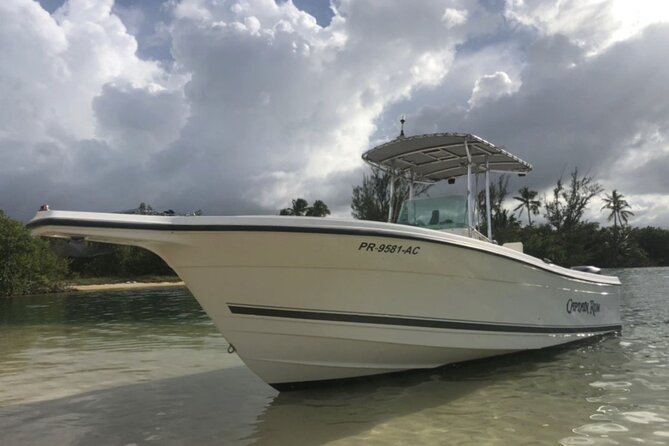 Boat trip in palomino /icacos /fajardo Puerto Rico - Key Points