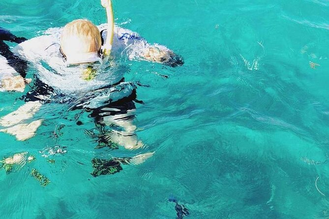 Half day private charter Icacos Island up to 6 guest - Final Thoughts: Why Choose This Tour?