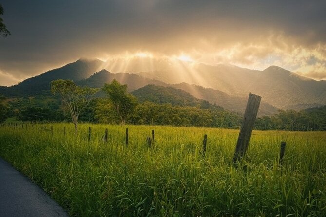 Half Day El Yunque Tour, Waterslide and Rope Swing - A Practical Guide to the Half Day El Yunque Tour with Waterslide and Rope Swing