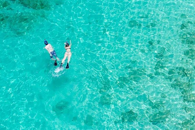 Half Day Icacos Island Tour without Transportation Service - FAQs