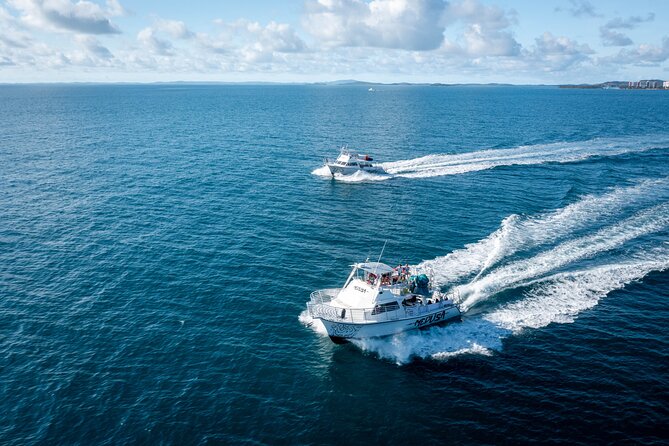 All Inclusive Snorkel and Slide Boat Tour: Icacos or Vieques - Who This Tour Is Best For