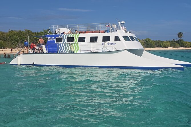 Vieques: Beach and Snorkeling Tour by Catamaran from Fajardo - The Real Value of This Experience
