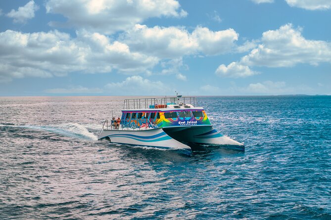 Vieques: Beach and Snorkeling Tour by Catamaran from Fajardo - Why This Tour Works for You