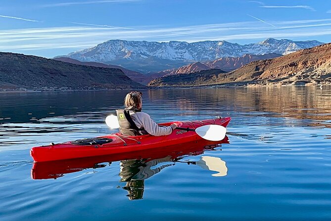 Kayak/SUP Tour: Birds, Beavers, Turtles, maybe even Cliff Jumping - Who Will Love This Tour?