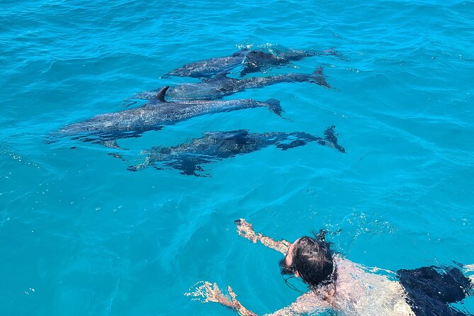 Create-Your-Own Luxury Adventure in Bimini with photographer - Key Points