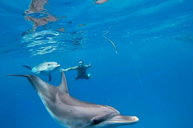 Create-Your-Own Luxury Adventure in Bimini with photographer - Experience the Beauty of Bimini with a Customizable Luxury Tour