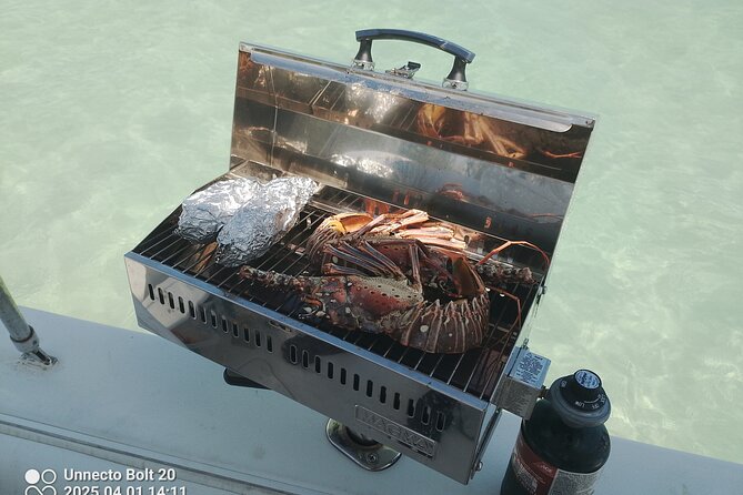Boat Tour , Catch & Cook | Creative Eco Adventures - A Deeper Look at the Catch & Cook Experience