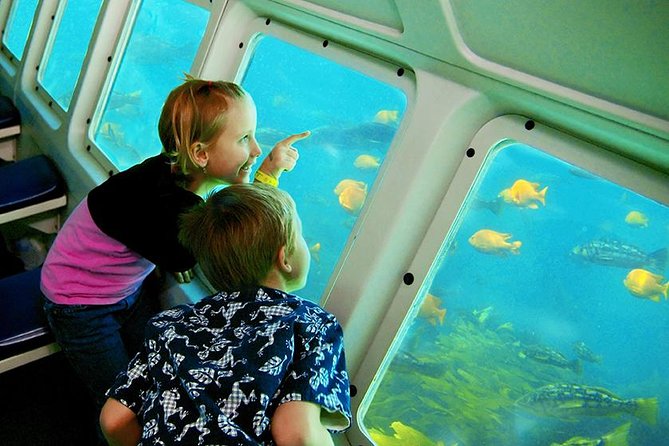 Undersea Expedition: Catalina Island Tour - Authentic Reviews Reflecting the Experience