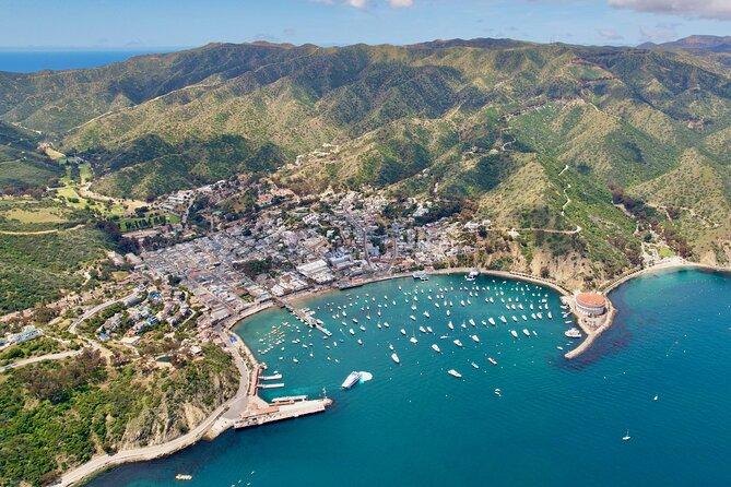 Avalon on Foot Self-Guided Audio Tour of Catalina Island - Starting Point: Old Ben Park