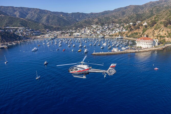 Catalina Explorer Helicopter Tour - Practical Details: What to Know Before Booking  