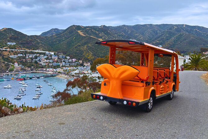 Private Guided City Tour up to 12 Passengers - Final Thoughts