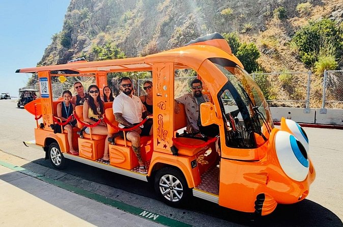 Private Guided City Tour up to 12 Passengers - FAQ