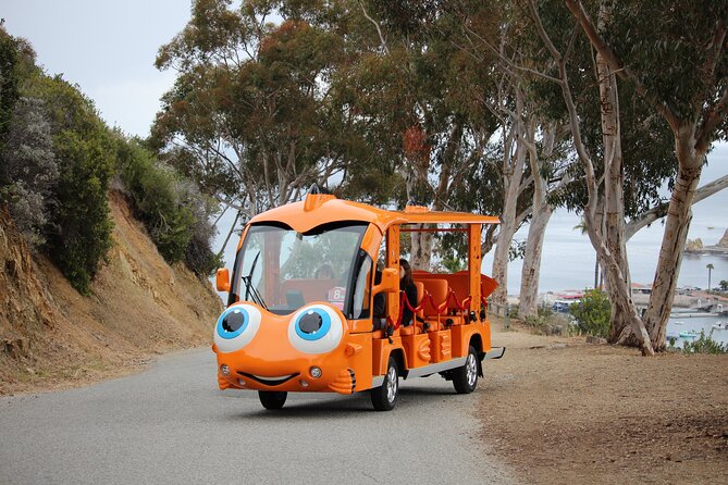 Private Guided City Tour up to 12 Passengers - Good To Know