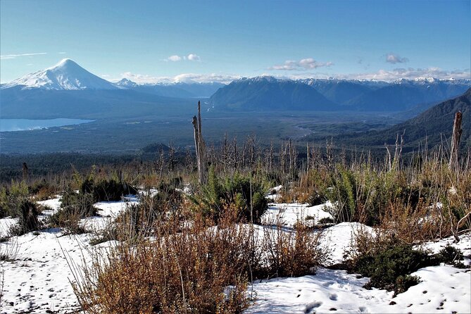 Full day Hiking Solitario trail, Osorno Petrohue Falls - Who Would Love This Tour?