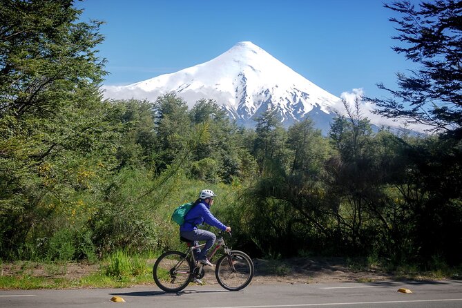 Petrohue Falls and Osorno Volcano Bike Tour - Key Points