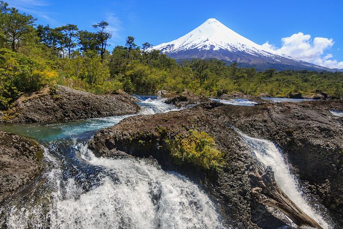 Petrohue Falls and Osorno Volcano Bike Tour - Who Should Consider This Tour?