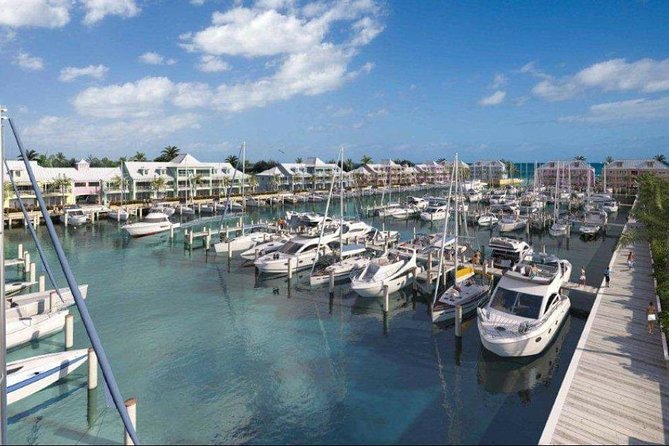 Private Roundtrip Minivan Airport Transfer to Palm Cay - Quick Overview: What This Private Transfer Offers