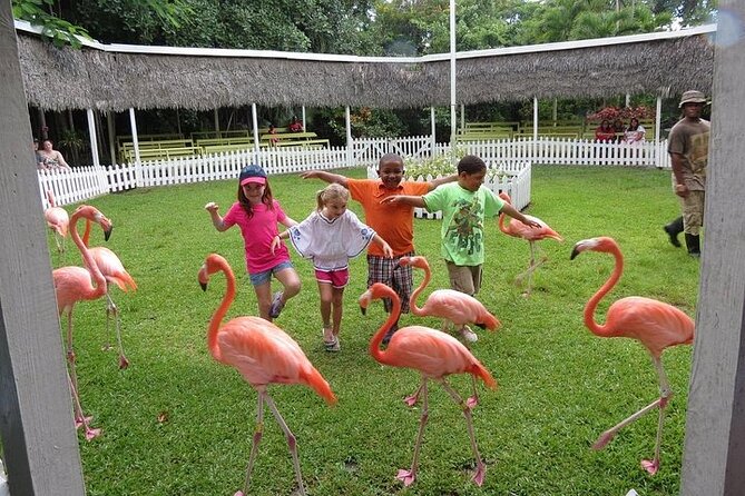 Private Roundtrip Sedan Airport Transfer - The Real-World Experience from Reviews